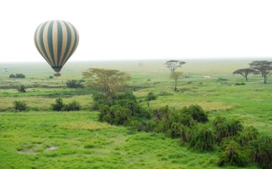 tanzanie